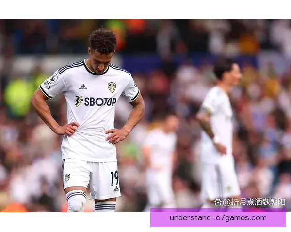 白玫瑰荣耀与复兴之路利兹联俱乐部百年沉浮传奇再启辉煌新篇章史