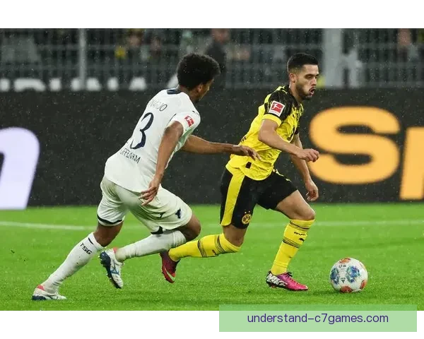 霍芬海姆1899俱乐部发展历程与现代足球文化的融合分析